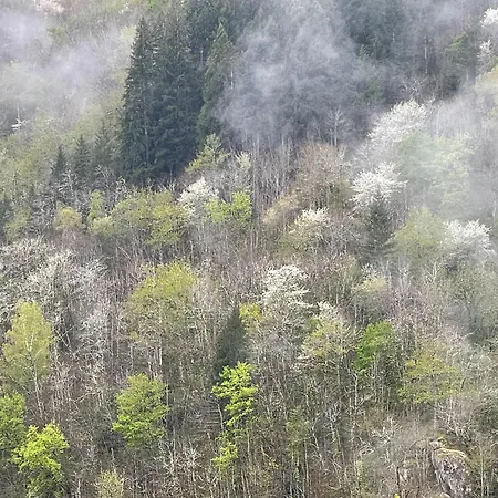 La Maison De Mon Pere *