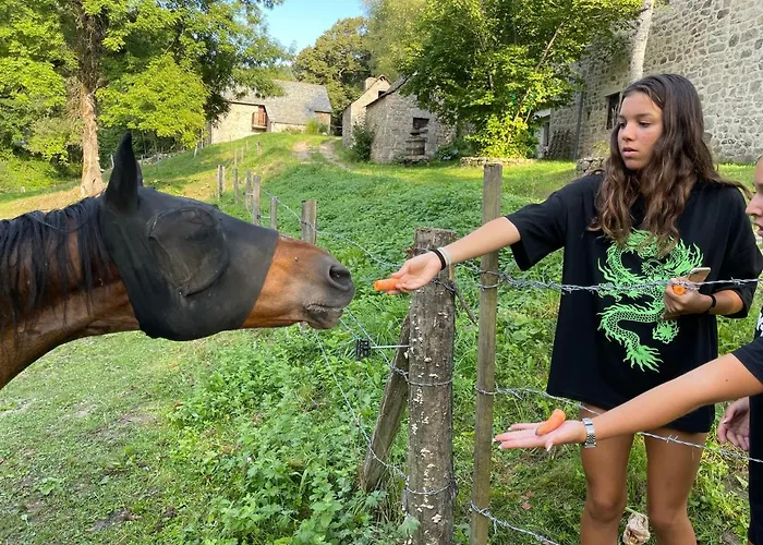 La Maison De Mon Pere Willa Le Nayrac