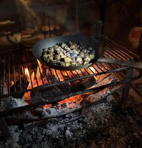 La Maison De Mon Pere Willa Le Nayrac